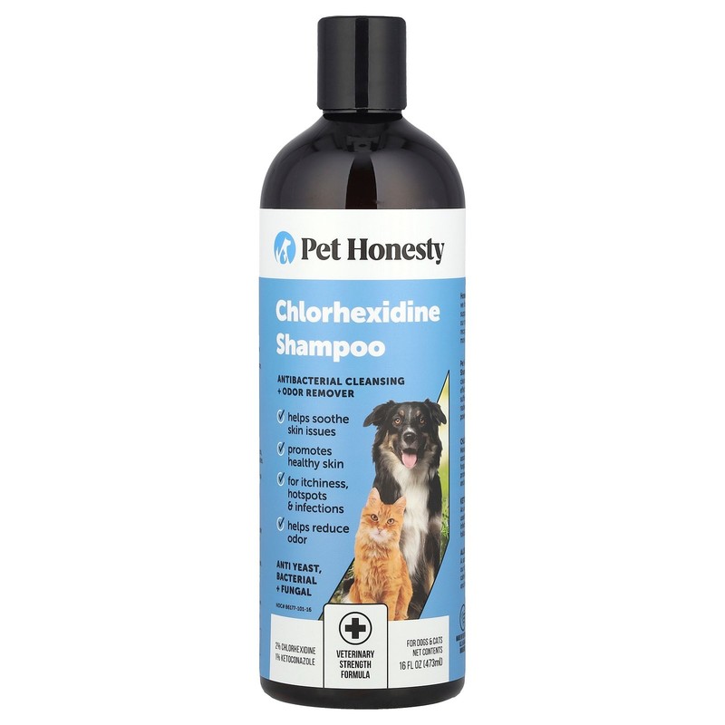 Chlorhexidine Shampoo, For Dogs & Cats, 16 fl oz (473 ml)