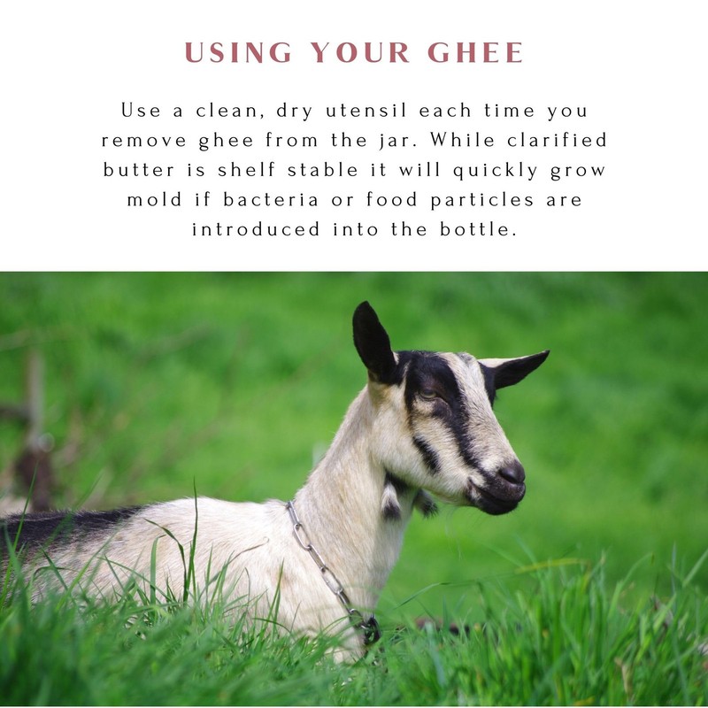Mt. Capra Goat Milk Ghee | GrassFed Clarified Butter High in MCT Oil Perfect ... gallery