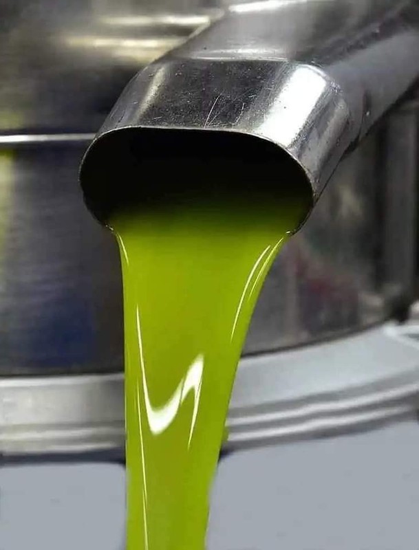 3 L Premium Palestinian olive oil-extra virgin-HarvestNOW2025-Fast Shipping USA