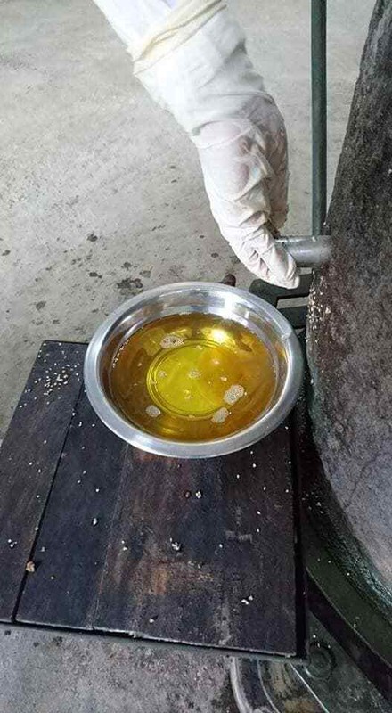 Ceylon Virgin Sesame Oil Healthy Cooking Pure High Quality Natural Organic Meal gallery