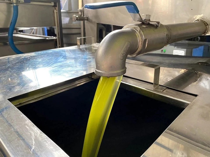 Rx High Phenolic Extra Virgin Olive Oil–Cold Pressed, Rich in Large4 PACK gallery