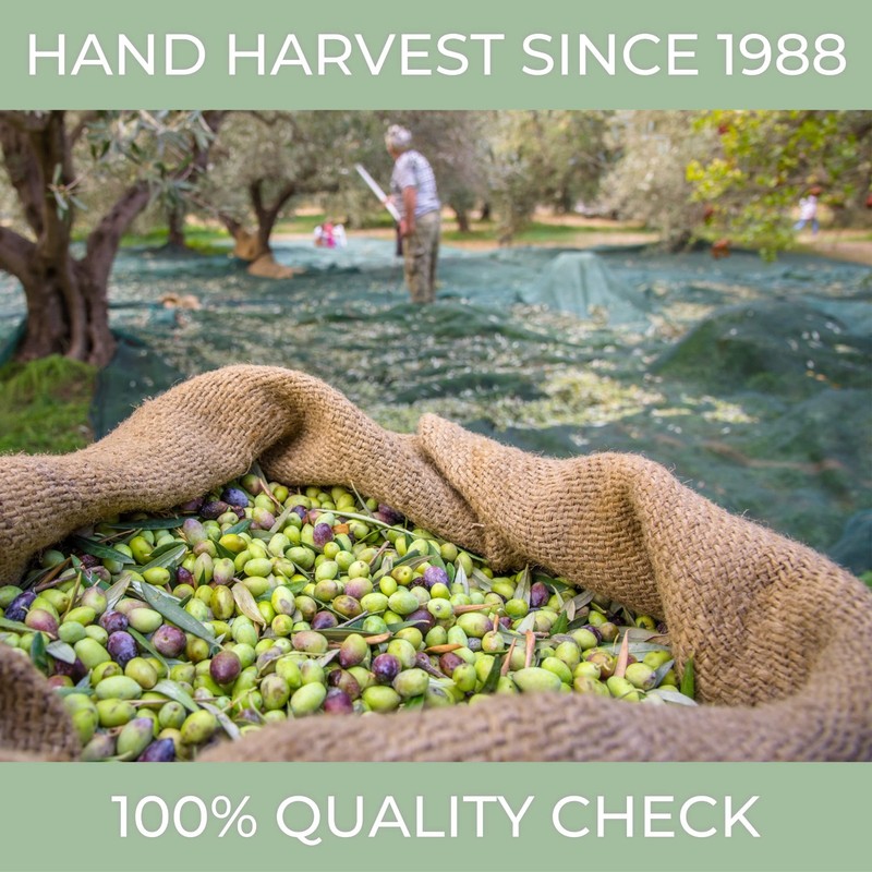 N°1 Drinking Extra Virgin Olive Oil Italian - 100% Unrefined & Cold pressed evoo gallery