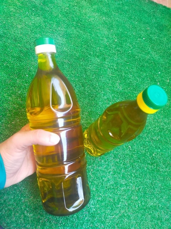 1 L Premium Palestinian olive oil-extra virgin-HarvestNOW2025-Fast Shipping USA gallery
