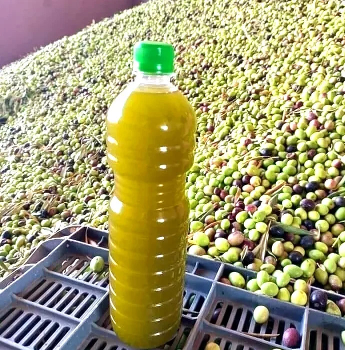 1 L Premium Palestinian olive oil-extra virgin-Harvest2025-Fast Shipping USA NEW gallery
