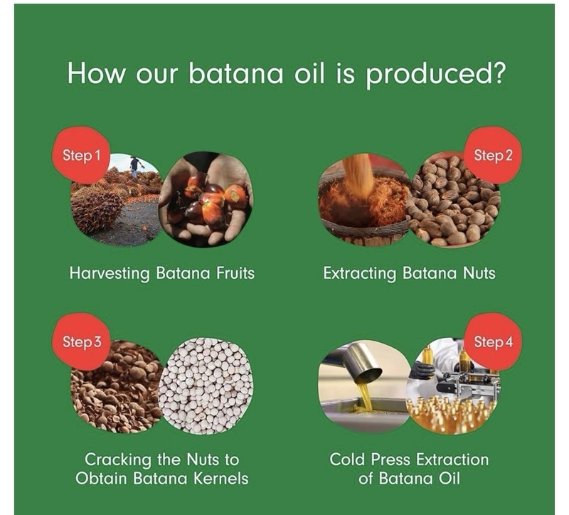 Batana Oil: Organic Batana Oil from Honduras - 100% Pure & Natural 4 fl oz gallery