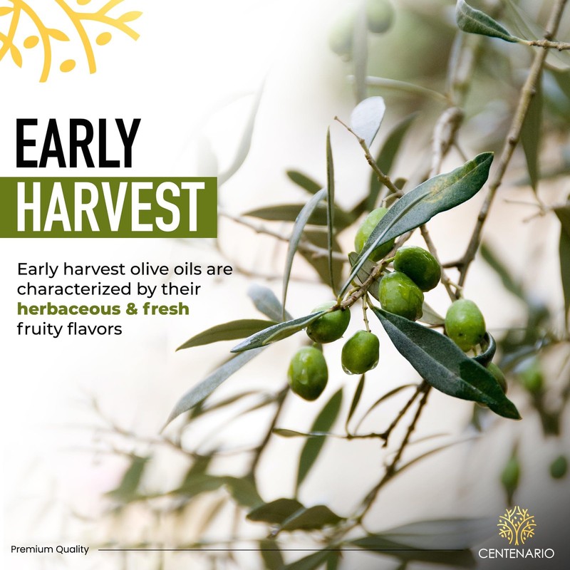 Centenario High Polyphenol Extra Virgin Olive Oil, Evoo, Organic Extra Virgin... gallery