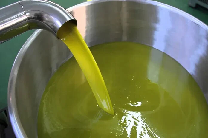 Fresh olive oil of the 2024-2025 season from Palestine 15 litres زيتون القدس