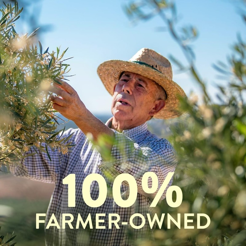 Robust Extra Virgin Olive Oil, Contains Polyphenols, First Cold Pressed, 68 F... gallery