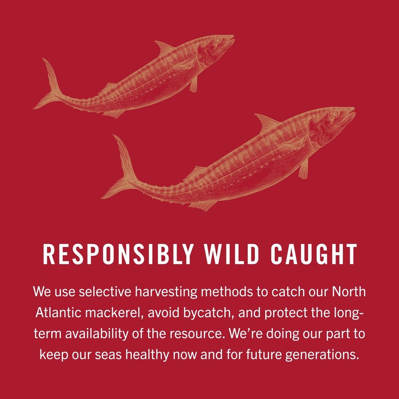King Oscar Mackerel in Olive Oil 6 Pack Skinless Boneless Wild Caught Keto Paleo gallery