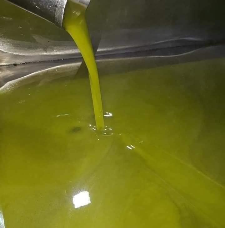1 L Premium Palestinian olive oil-extra virgin-Harvest2025 -Fast Shipping USA, gallery