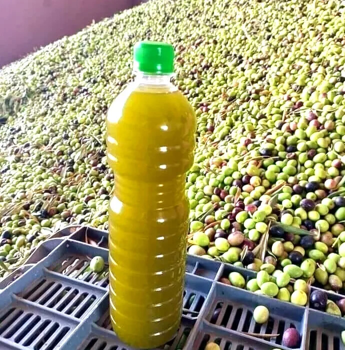 2L Premium Palestinian olive oil-extra virgin-Harvest2025-Fast Shipping USA