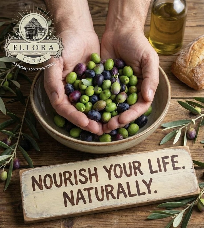 Ellora Farms, Greek Extra Virgin Olive Oil, Single Estate PDO Messara, Greece... gallery