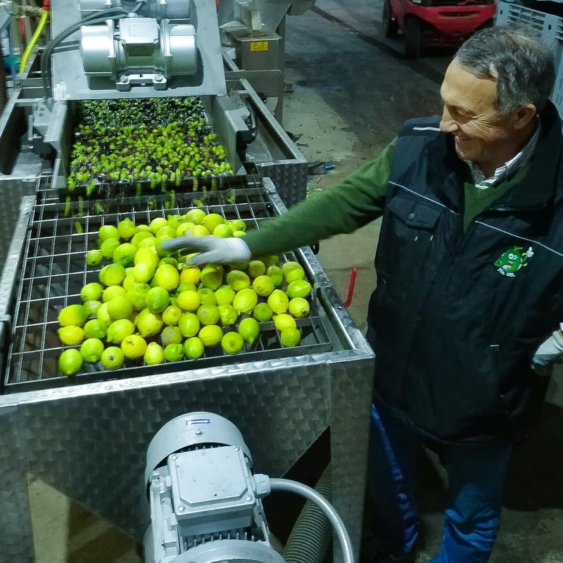 Organic Lemon Oil from Sicily, Italy - First Cold Pressed Extra Virgin Olive Oil gallery